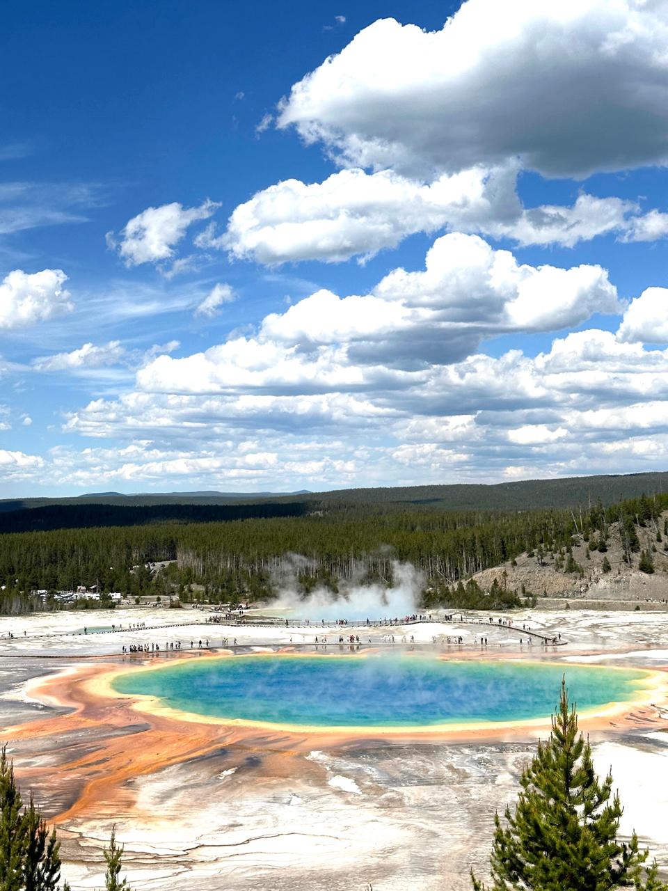 Yellowstone National Park hot spring